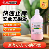 龙 炉甘石洗剂 100ml