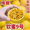 花慕辰 正宗钦蜜9号黄金百香果 大果60-70g 净重4.5斤
