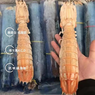  半蓝岛 有膏 皮皮虾