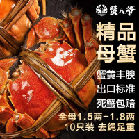 蟹八爷 大闸蟹全母1.5两-1.8两10只装 螃蟹鲜活现货海鲜生鲜礼盒