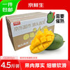京鲜生 攀枝花凯特芒果 净重4.5斤 单果300g  生鲜水果源头直发