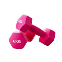 朗威哑铃男士力量训练实心亚玲浸塑纯铁哑铃家用器材