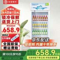白雪雅竹 大容量饮料柜商用冰柜直冷藏展示柜酒水柜纯风冷无霜保鲜柜超市玻璃门冰箱立式啤酒柜