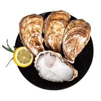 鲜京采 鲜活生蚝3XL 净重6.18斤 15-20只 生鲜海鲜 中秋聚餐 源头直发