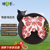 楮木香 黑猪梅花肉 4斤 烧烤食材