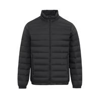 男式立领羽绒服轻盈简约挺括有型春秋户外保暖85绒子羽绒服男