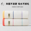 竹一百 竹纤维5A抗菌毛巾 2条 吸水不掉毛 成人大毛巾 34*70cm 100g/条