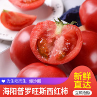 佑嘉木 嘉木 普罗旺斯番茄 4.5斤