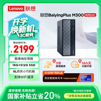 联想 Lenovo 百应M300 商用办公个人家用台式电脑主机 (酷睿12代i5-12450HX 16G 512G SSD WiFi)20%