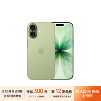 苹果 Apple 购买 iPhone 17 512GB 鼠尾草绿色