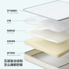 林氏生活（LINSY HOME）学生床垫子宿舍乳胶0.9x1.9米单人1.2米x2米铺地床褥子折叠专用  80cm*190cm【学生床】助眠深睡