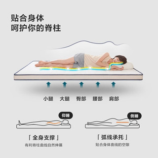 林氏生活（LINSY HOME）乳胶床垫记忆棉学生租房宿舍薄专用海绵单人90x190加厚0.8x1.9m 【旗舰款丨高密度海绵】8cm 200cm*180cm