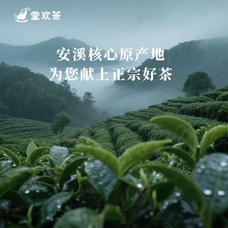 堂欢荟福建安溪铁观音茶叶清香型铁观音乌龙茶袋装茶自饮口粮茶 安溪铁观音7g*20袋