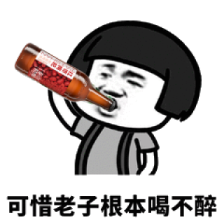 泰山原浆啤酒 taishan 红枣枸杞精酿啤酒 450mL6瓶