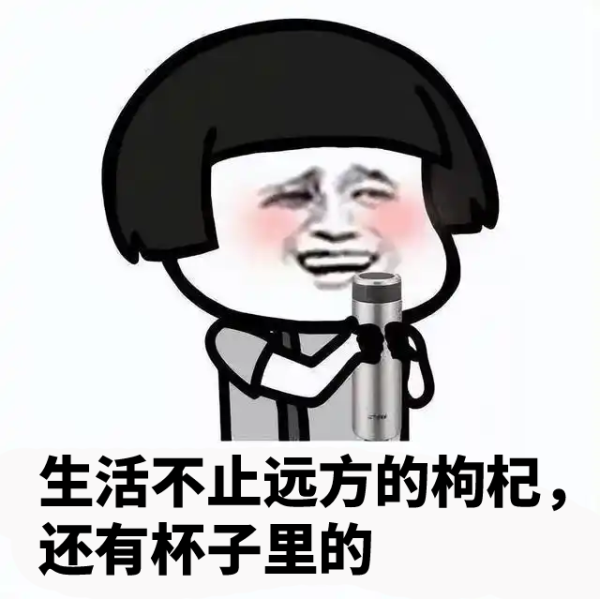 泰山原浆啤酒 taishan 红枣枸杞精酿啤酒 450mL6瓶