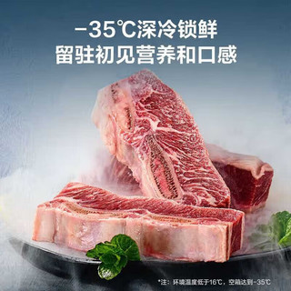 Haier/海尔 一级能效 冰柜  300L