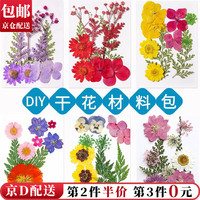 东之天地 DIY混合干花树叶材料包 亲子手工滴胶真花压花包 植物标本拍摄道具 6款随机发