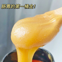 瑞琪奥兰麦卢卡蜂蜜小瓷杯礼盒送家人 【加倍舒养】UMF10+250g小瓷杯礼盒