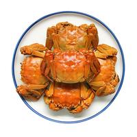 【活蟹】鲜京采 鲜活大闸蟹 盘锦河蟹稻田蟹 全母蟹1-1.3两 15只 无绳足重 源头直发