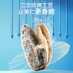 洽洽 瓜子 海盐味 500g