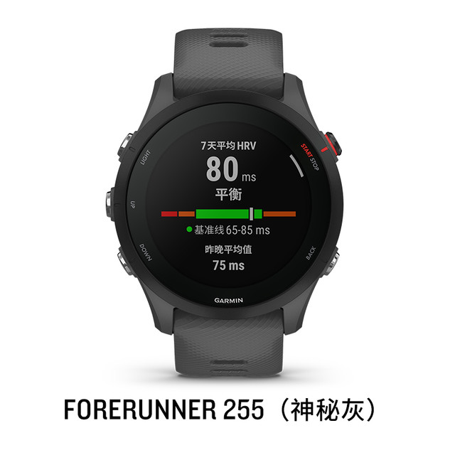 GARMIN 佳明 Forerunner 255S 智能心率表 010-02641 神秘灰