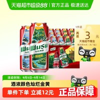 WUSU 乌苏啤酒 红乌苏啤酒 500ml*6听