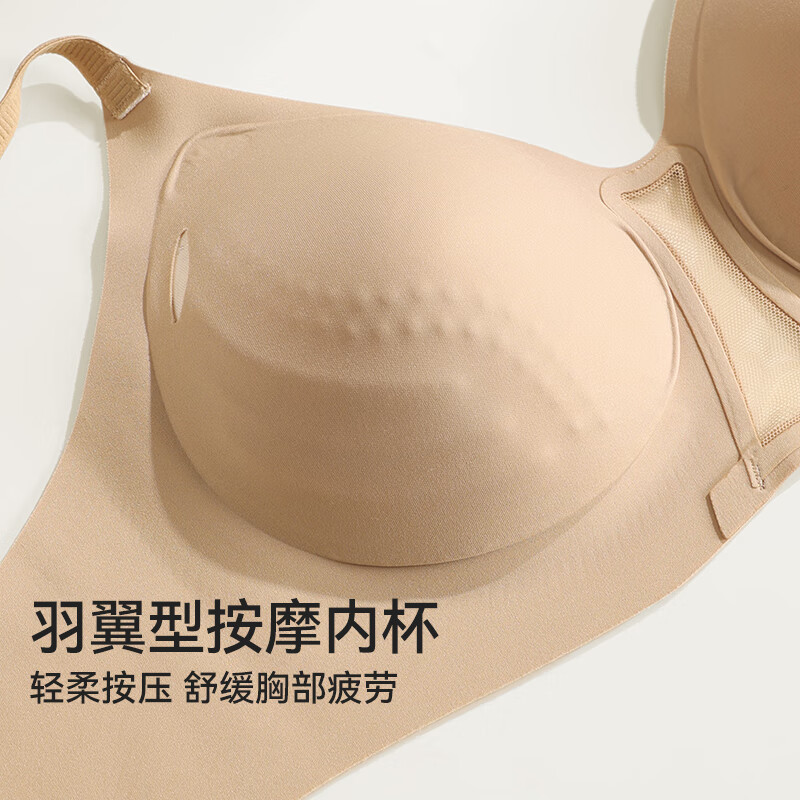 安可拉红