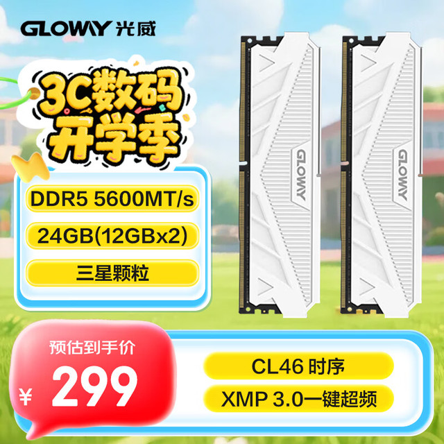 光威 24GB(12GBx2) DDR5 5600 台式机内存条 天策 马甲条 三星颗粒 CL46 皓月白