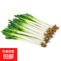 京喜 新鲜蔬菜水果大葱 精选 3斤