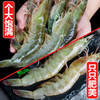  鲸口大开 超大虾 青岛大虾  15-17厘米 整箱 3斤