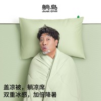 躺岛 瓜瓜凉被凉席全套夏凉被软凉席枕套夏季冰丝凉感床品四件套