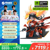 机械革命 翼龙16X 16英寸 游戏笔记本电脑(AI 9 H 365 32G 1T RTX5060 2.5K 300HZ 黑)