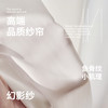 尚拉维 SL 太空纱窗帘纱帘 透光不透人 幻影纱