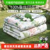 富安娜 玉茗春 100%蚕丝被 印花空调被 夏凉被 2斤