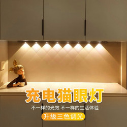 以典 【超】20cm超长人体感应灯山丘猫眼灯