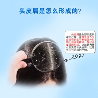  KANGWANG/康王 去头皮屑 去屑止痒洗发水
