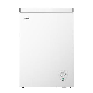 容声 BD/BC-100E10HNLAJ 小型冰柜家用冷柜一级能效100L