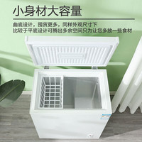  RIPU/日普 一级能效 冰柜  118L