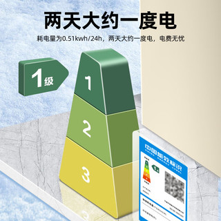 爱妻小冰柜家用小型冷冻保鲜迷你冷藏商用卧式冷柜单用储母乳柜节能省电 单温189升【一级能效 】 189L
