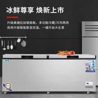海蓝星 智能数显 商用冰柜  拉丝银 600L