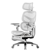 YANXUAN 网易严选 F500 人体工学电脑椅 银白 带搁脚款