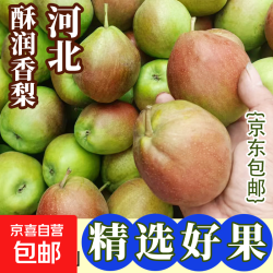 无型 河北 酥润香梨 1.5kg 产地直发