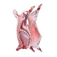  锡林之星 锡林郭勒羊肉 整羊