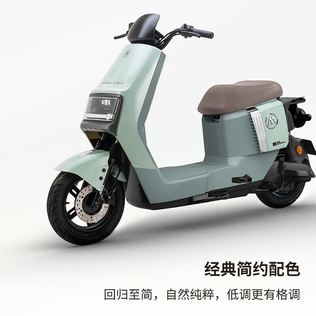爱玛 卫士AB51 长续航电动自行车 TDR8106Z