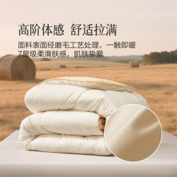 百丽丝 抗菌阻螨 羊毛被   四季通用