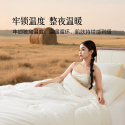 百丽丝 抗菌阻螨 羊毛被  四季被 150cm×210cm 四季通用