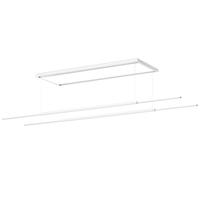 美的（Midea）电动晾衣架智能语音自动升降晒被阳台晾衣架衣服架伸缩晾衣机D3