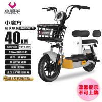 小羚羊 小魔方48V12AH铅酸电动车可上牌电动自行车免费送装上门   源彩灰