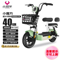 小羚羊 小魔方48V12AH铅酸电动车可上牌电动自行车免费送装上门 源彩绿