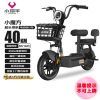 今日必买：小羚羊 小魔方48V12AH铅酸电动车可上牌电动自行车免费送装上门 源彩黑
